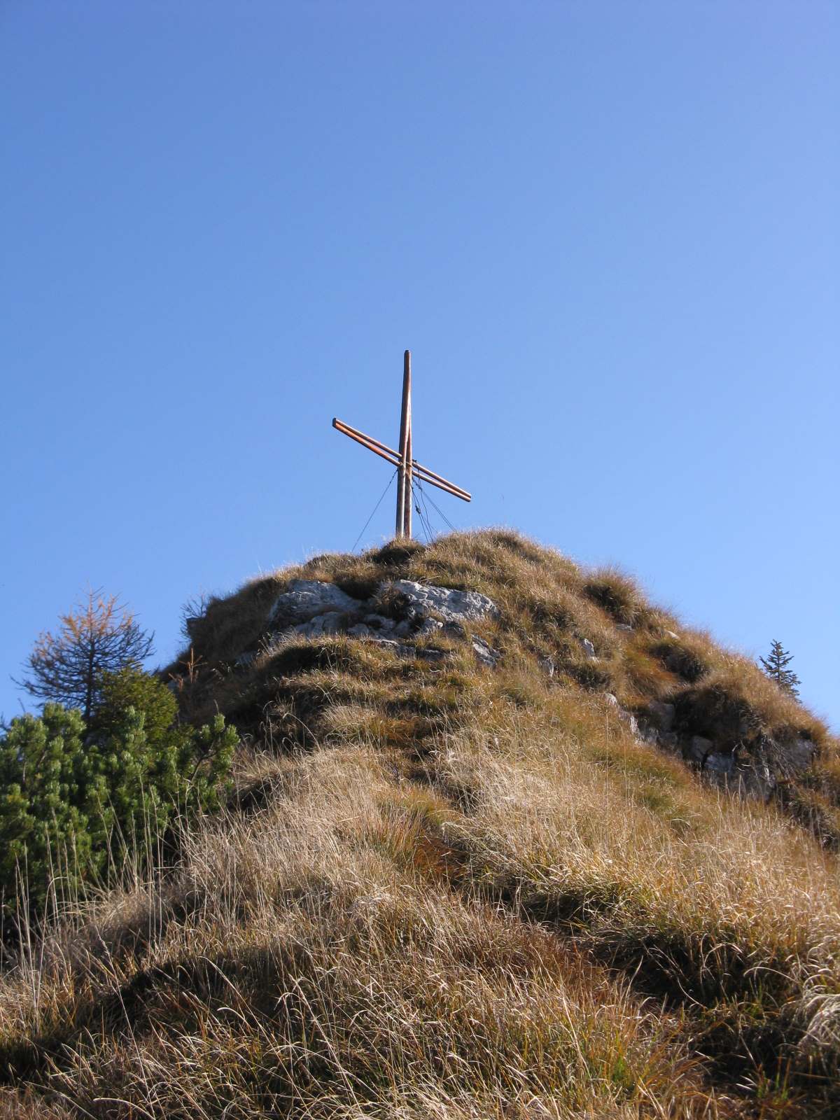 Cimon de Cajada: sulle tracce dei camosci.